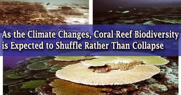 As the Climate Changes, Coral Reef Biodiversity is Expected to Shuffle Rather Than Collapse