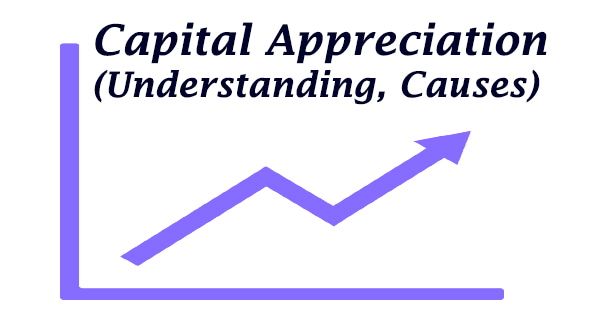 Capital Appreciation (Understanding, Causes)