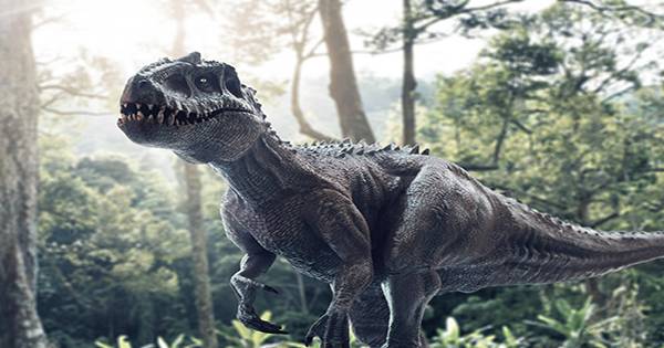 Unusual Dinosaur Fossilization Indicates Epic Fossil Hiding Inside Rock