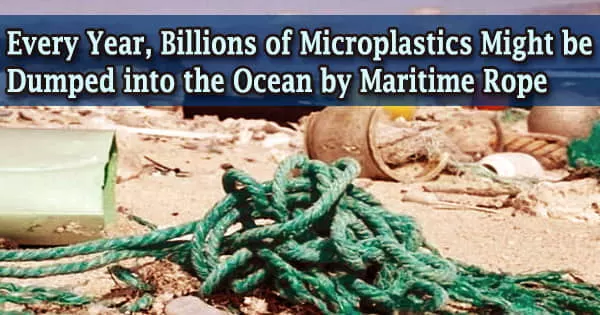 Every Year, Billions of Microplastics Might be Dumped into the Ocean by Maritime Rope