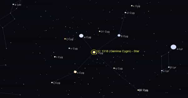 Gamma Cygni – a White Supergiant Star