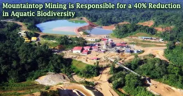 Mountaintop Mining is Responsible for a 40% Reduction in Aquatic Biodiversity