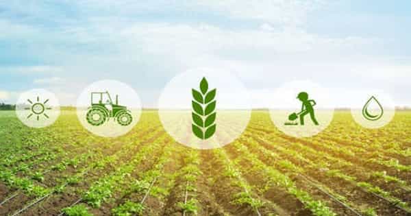 Quantitative Evaluation of Agricultural Sustainability