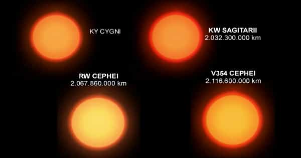 RW Cygni – a Very Luminous Supergiant Star