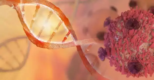 The Most Frequently Mutated Gene in all Cancers has been Identified