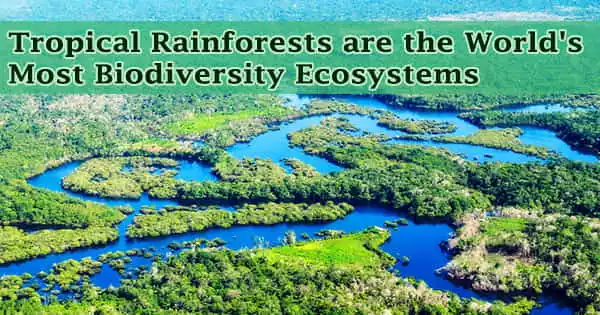 Tropical Rainforests are the World’s Most Biodiversity Ecosystems
