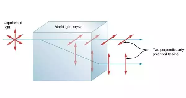 Using Polarized Light to Control Electrons and Vibrations in a Crystal