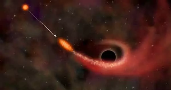 When a Black Hole Devours a Star, This is What it Looks Like