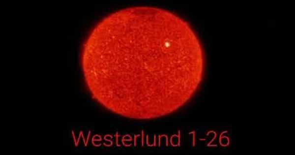 Westerlund 1-26 – a Very Luminous Supergiant Star Type