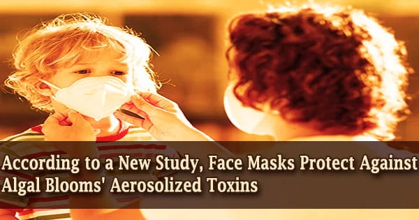 According to a New Study, Face Masks Protect Against Algal Blooms’ Aerosolized Toxins