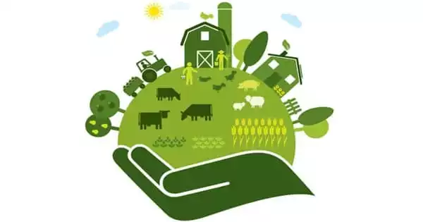 Agroecology – an Applied Science