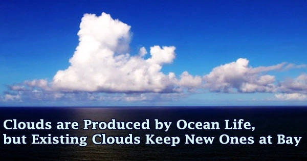 Clouds are Produced by Ocean Life, but Existing Clouds Keep New Ones at Bay