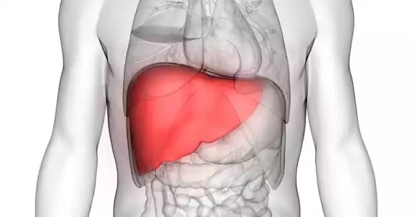 Liver Cell Mutations are linked to Liver Disease with Obesity and Diabetes