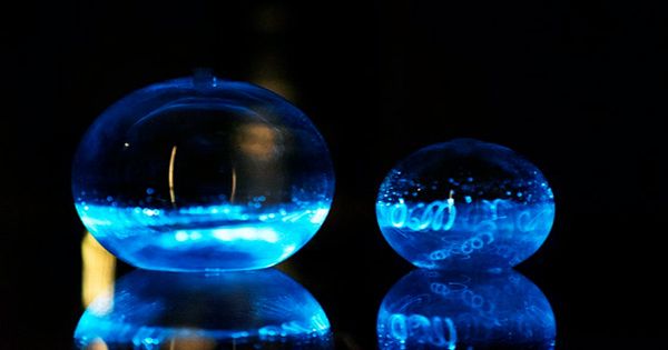 Looking for a Little Natural Illumination Check out This $45 Bioluminescent Orb