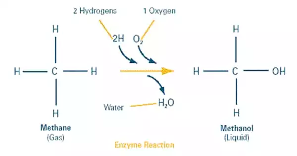 Methane to Methanol Conversion (with and without water)