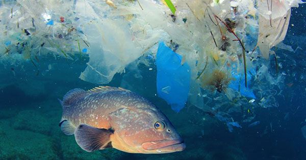 Microplastics Are Swirling In The Atmosphere – And May Impact Climate