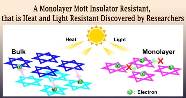 A Monolayer Mott Insulator Resistant, that is Heat and Light Resistant Discovered by Researchers