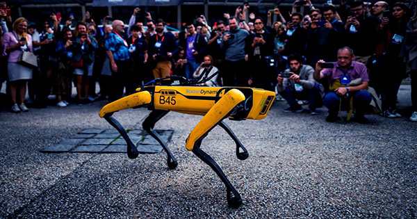 Robot Dogs Just Got a Lethal, Dystopian Upgrade