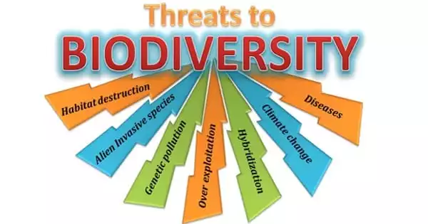 Threats to Biodiversity around the World