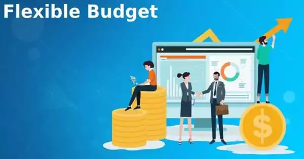 Types of Flexible Budget