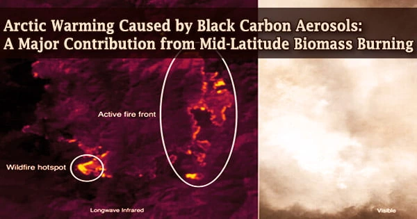 Arctic Warming Caused by Black Carbon Aerosols: A Major Contribution from Mid-Latitude Biomass Burning