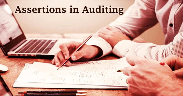 Assertions in Auditing