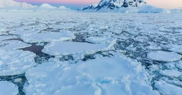 DNA From 1,000,000 Years Ago Indicates “Productive” Future For Melted Antarctica