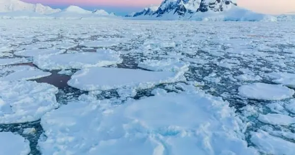 In Antarctica, Researchers are Looking for Microplastics