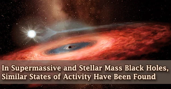 In Supermassive and Stellar Mass Black Holes, Similar States of Activity Have Been Found