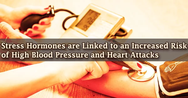 Stress Hormones are Linked to an Increased Risk of High Blood Pressure and Heart Attacks