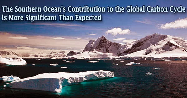 The Southern Ocean’s Contribution to the Global Carbon Cycle Is More Significant Than Expected