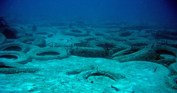 The Time Florida Dumped 2 Million Tires in the Ocean to Help Fish