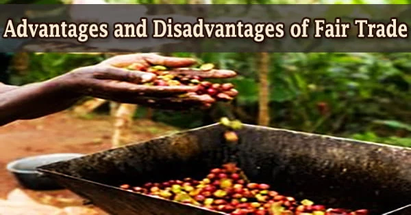 Advantages and Disadvantages of Fair Trade
