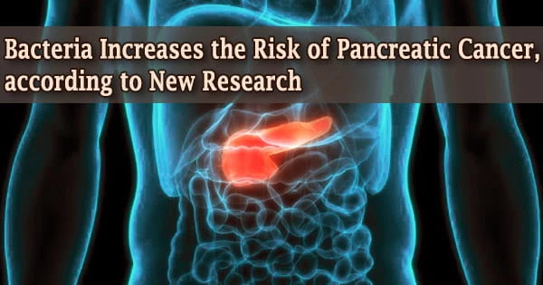 Bacteria Increases the Risk of Pancreatic Cancer, according to New Research