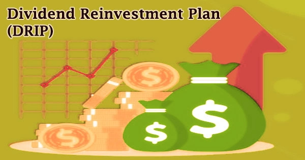 Dividend Reinvestment Plan (DRIP)