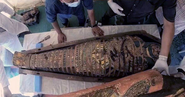 Famous Ancient Egyptian Mummy Digitally Unwrapped After 3,000 Years