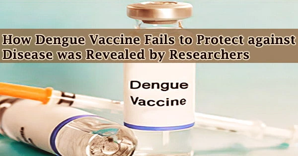 How Dengue Vaccine Fails to Protect against Disease was Revealed by Researchers