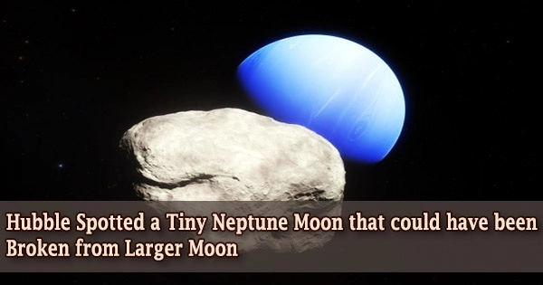 Hubble Spotted a Tiny Neptune Moon that could have been Broken from Larger Moon