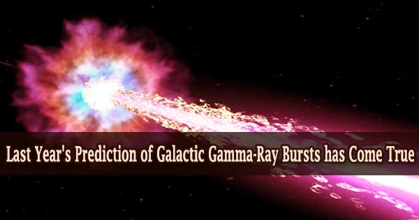 Last Year’s Prediction of Galactic Gamma-Ray Bursts has Come True