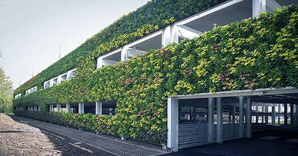 Living Walls Made Of Plants Could Reduce Heating Costs and Environmental Impacts