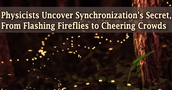 Physicists Uncover Synchronization’s Secret, From Flashing Fireflies to Cheering Crowds
