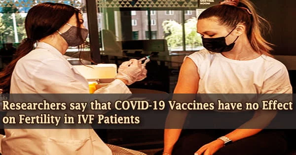 Researchers say that COVID-19 Vaccines have no Effect on Fertility in IVF Patients