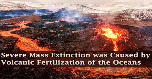 Severe Mass Extinction was Caused by Volcanic Fertilization of the Oceans
