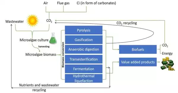Solving a Carbon Dioxide Conversion Bottleneck
