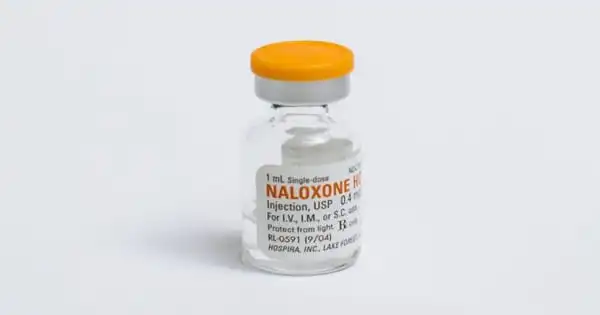 The Availability of Naloxone does not make Heroin Appear Safer