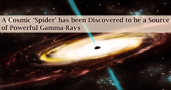 A Cosmic ‘Spider’ has been Discovered to be a Source of Powerful Gamma-Rays