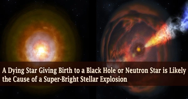 A Dying Star Giving Birth to a Black Hole or Neutron Star is Likely the Cause of a Super-Bright Stellar Explosion