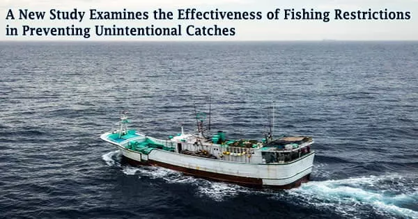 A New Study Examines the Effectiveness of Fishing Restrictions in Preventing Unintentional Catches