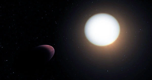 Astronomers Discover Weird-Shaped Exoplanet Squished Like a Rugby Ball
