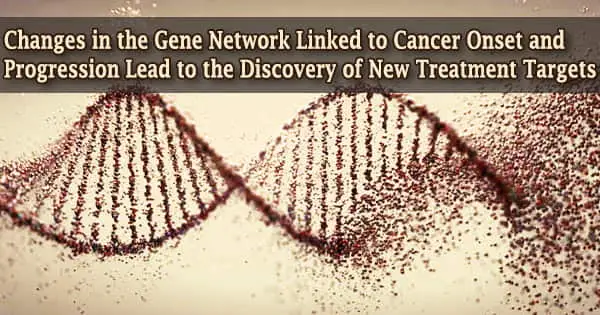 Changes in the Gene Network Linked to Cancer Onset and Progression Lead to the Discovery of New Treatment Targets